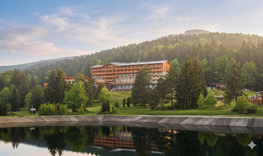 Hotel in the forest, forest in the hotel ...